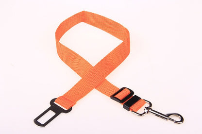 Ezzilife Strong Dog Leash