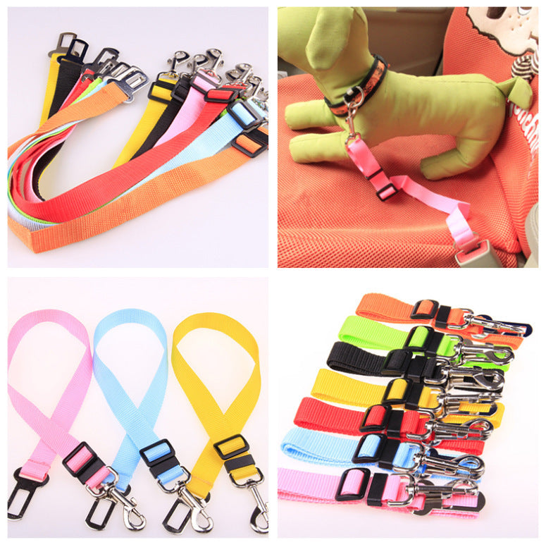 Ezzilife Strong Dog Leash