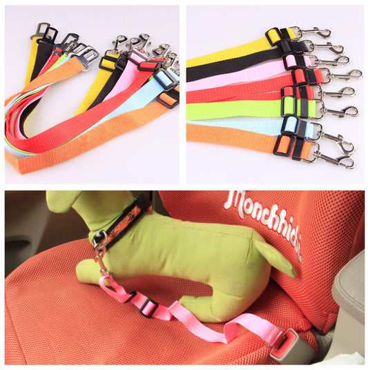 Ezzilife Strong Dog Leash