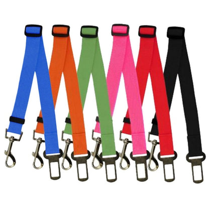 Ezzilife Strong Dog Leash