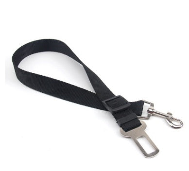 Ezzilife Strong Dog Leash