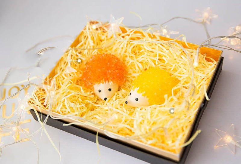 Crystals Magic Hedgehog Kids Kit Magical Chemistry Experiment Educational Toys For Children Gift