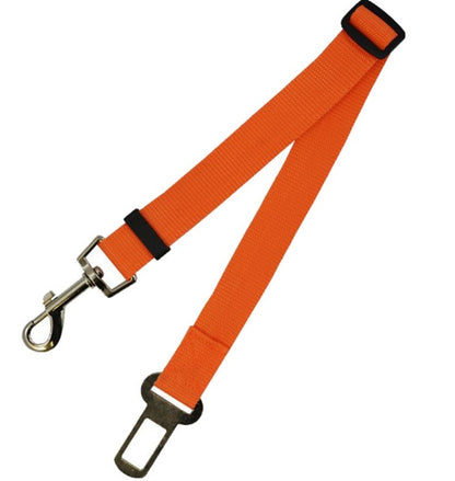 Ezzilife Strong Dog Leash