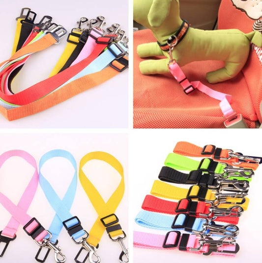 Ezzilife Strong Dog Leash
