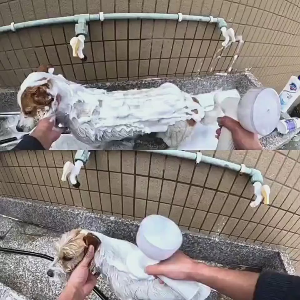 bubble-blower-pet-cat-fun