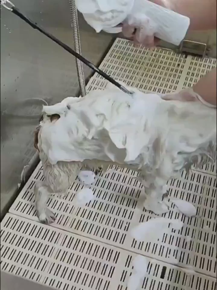 Bubble cat machine in use